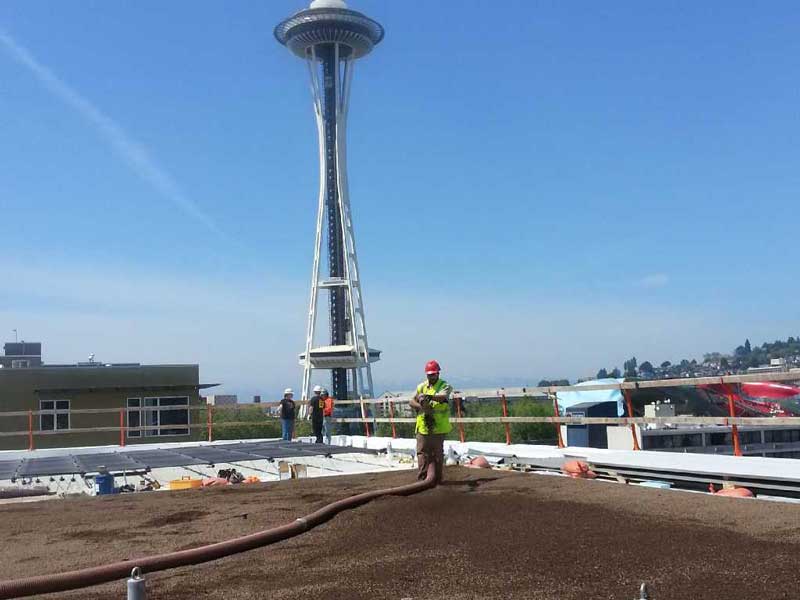 Green-Roof-02