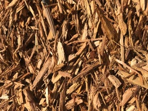 Close-up of cedar playground chips