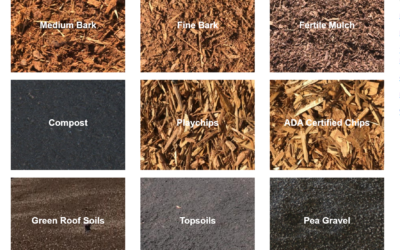 How to Pick the Right Mulch